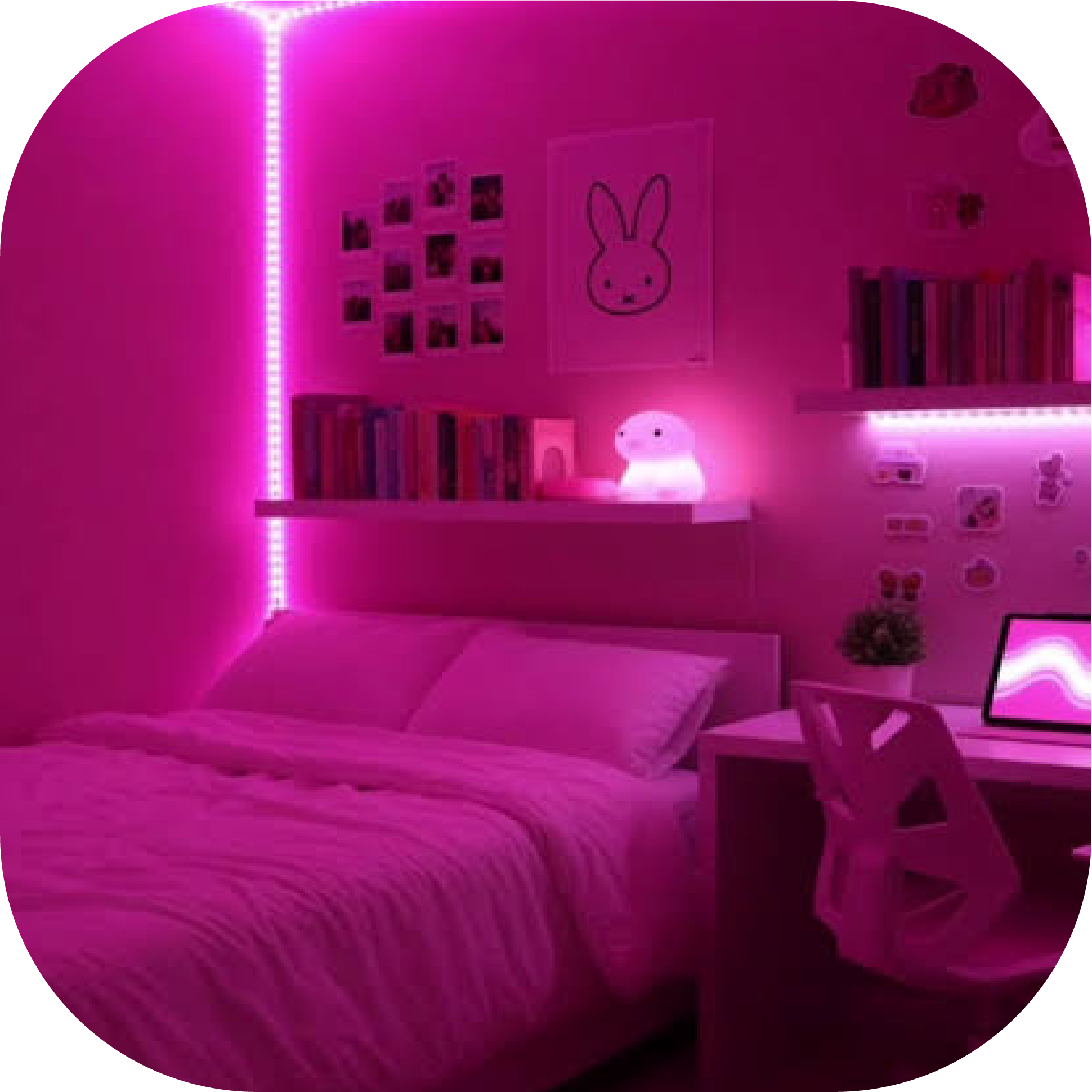 LED Lights (Room & Car)